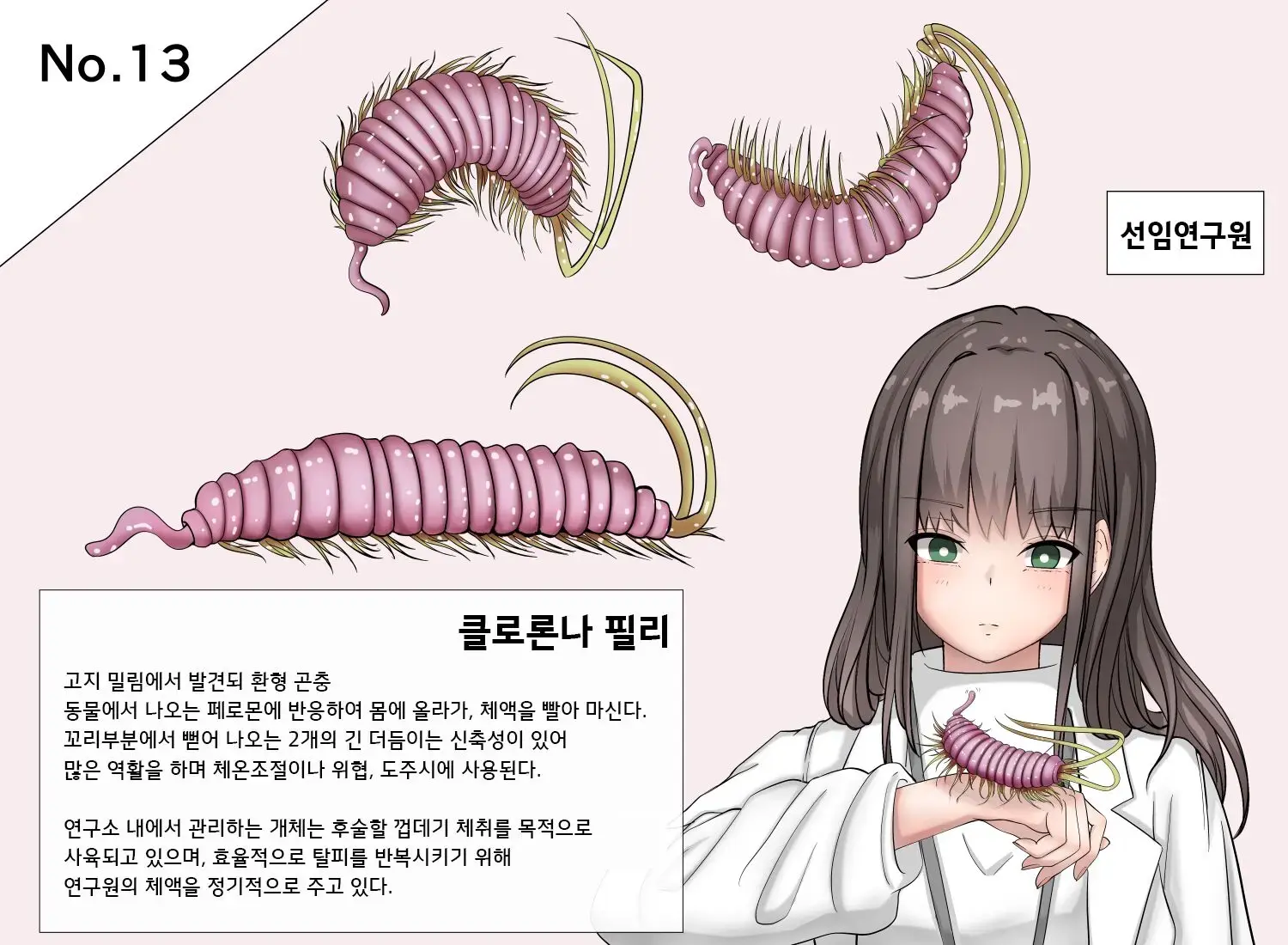 Insect Research Report